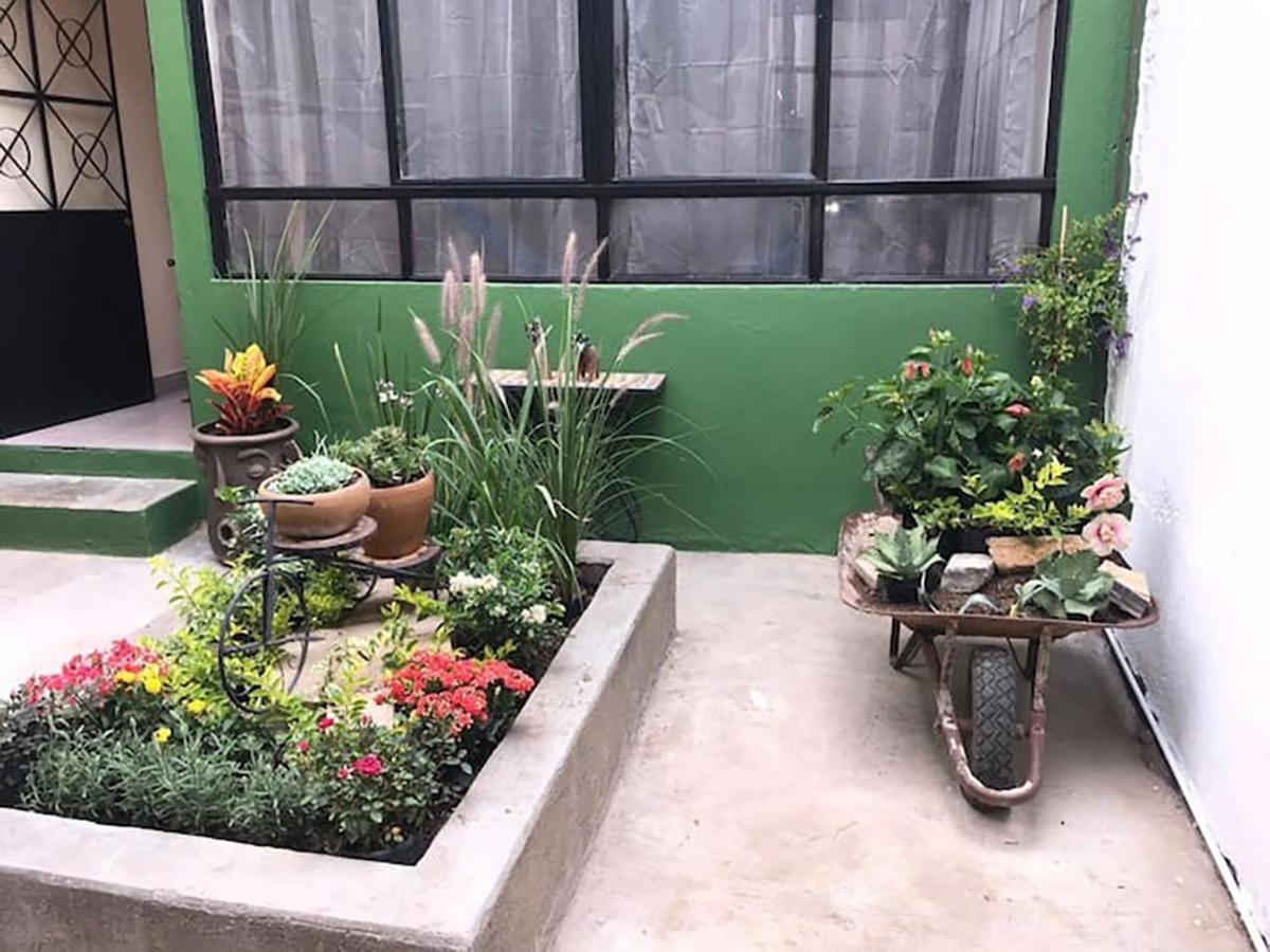 Casa Comoda Con Patio A 4 Cuadras De La Catedral. Oaxaca Luaran gambar